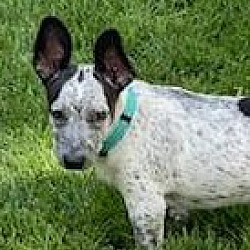Photo of Ocho