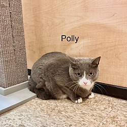 Thumbnail photo of Polly #1