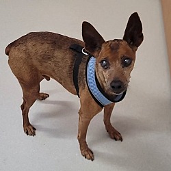 Photo of BooBoo