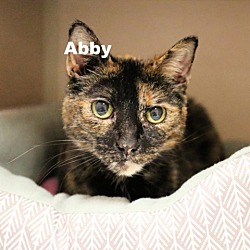 Photo of Abby 23094