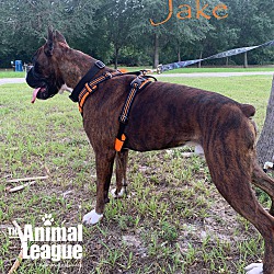 Thumbnail photo of Jake #4