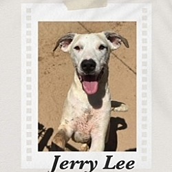 Thumbnail photo of Jerry Lee #1