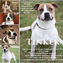 Thumbnail photo of Tinker #1