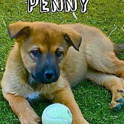Photo of Penny K