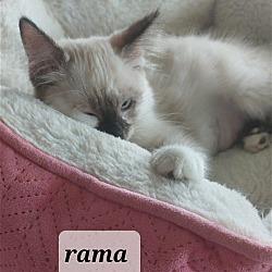 Photo of Rama