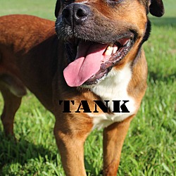 Thumbnail photo of Tank #1