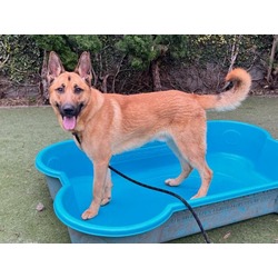Photo of CANELO