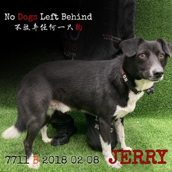 Thumbnail photo of Jerry 7711 #1