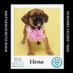 Thumbnail photo of Elena( Ten Spots) 082424 #1