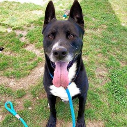 Photo of YOGI