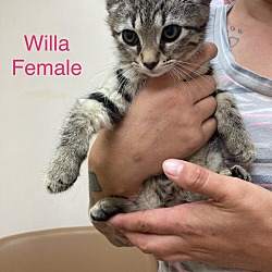 Photo of Willa