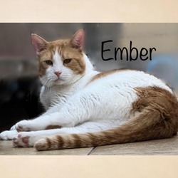 Photo of Ember