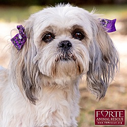 Photo of Dulce