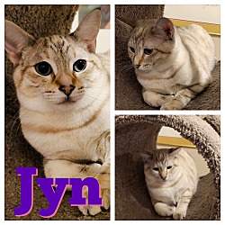 Thumbnail photo of Jyn #1