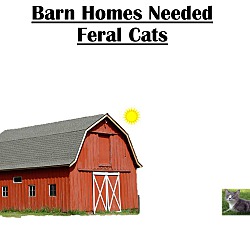 Photo of AC - Barn Homes Needed