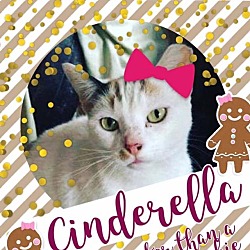 Thumbnail photo of Cinderella #3