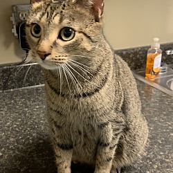 Photo of Hazel