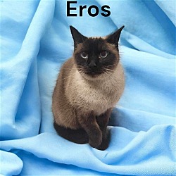 Thumbnail photo of Eros #2