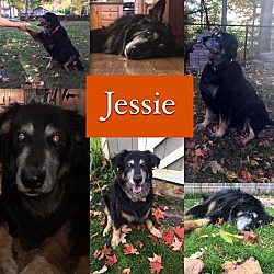 Thumbnail photo of Jessie #2