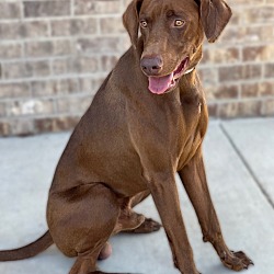 Photo of Tazz