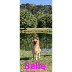 Thumbnail photo of Belle #1