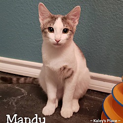 Thumbnail photo of Mandy #1