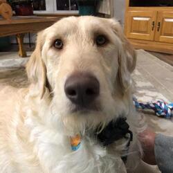 Photo of Hunter
