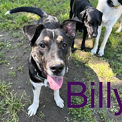 Photo of Billy