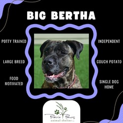 Photo of Big Bertha