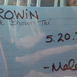 Thumbnail photo of Browin #3