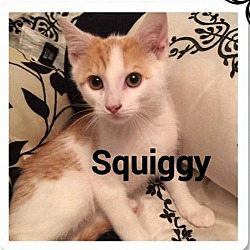 Thumbnail photo of Squiggy #1
