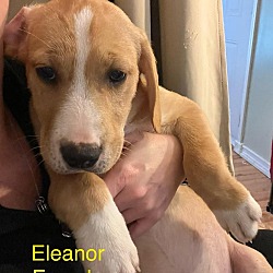 Photo of Explorers : Eleanor