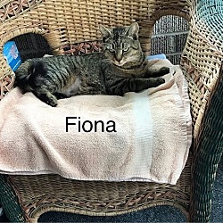 Thumbnail photo of Fiona (24-284) #1