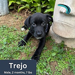 Photo of Trejo - NN