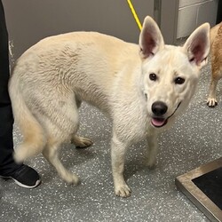 Photo of Luna