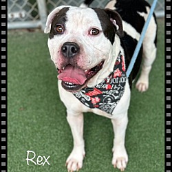 Thumbnail photo of REX #4