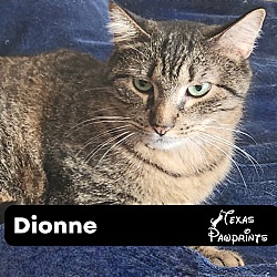 Photo of Dionne