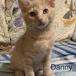 Photo of Danny