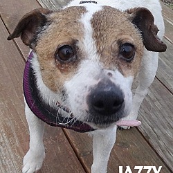 Thumbnail photo of JAZZY--SO SNAZZY! #3