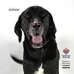 Photo of Jackson