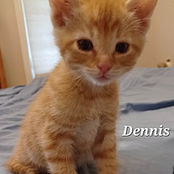 Photo of Dennis