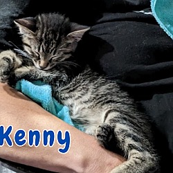 Thumbnail photo of Kenny #3