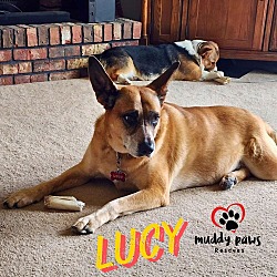 Photo of Lucy