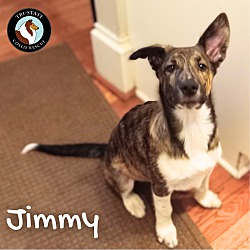 Thumbnail photo of Jimmy #4