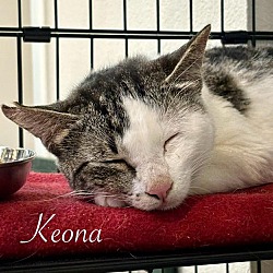 Photo of Keona
