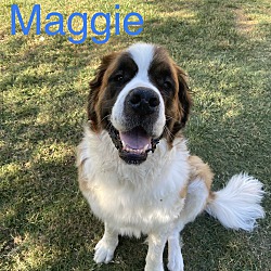 Photo of Maggie