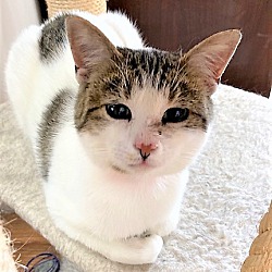 Photo of Tootsie