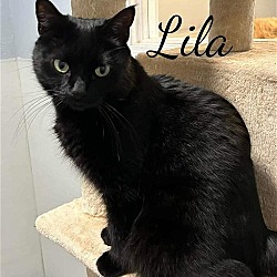 Photo of Lila