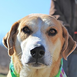 Thumbnail photo of Gypsy Marie~adopted! #1