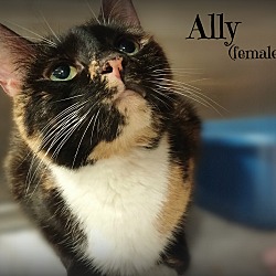Thumbnail photo of Ally #2